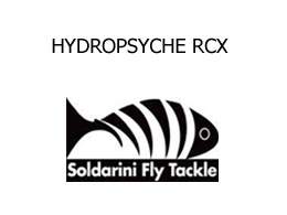 Cannes hydropsyche rcx