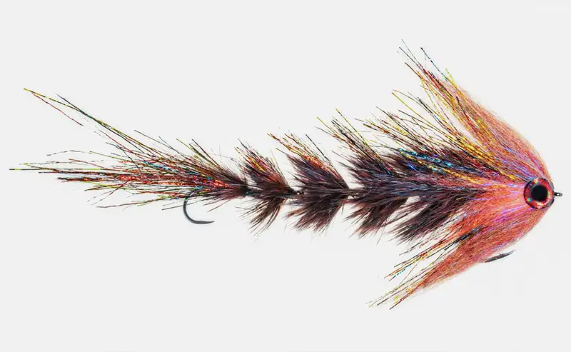 ENSEMBLE D'APPÂTS DE Pêche à La Mouche De 6 Pièces Pour La Pêche Au