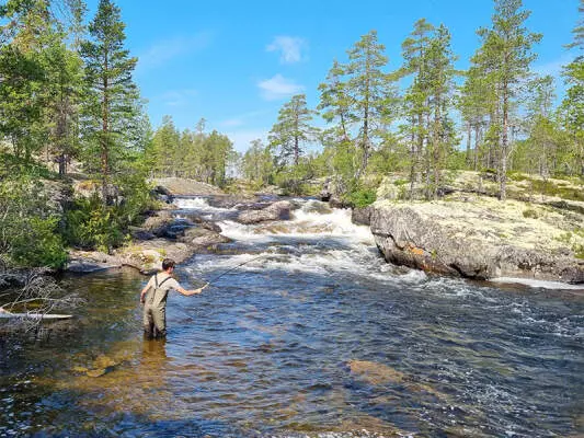 Pêche au tenkara – expliquée simplement - Pêche tenkara : guide complet pour débuter