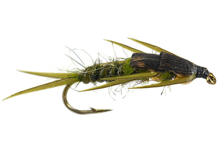 Double BH Olive Stonefly