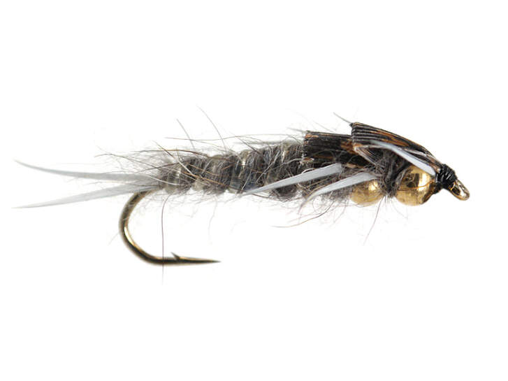Ensemble de nymphes StoneFly - Sport & Plein air