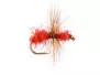 Red Ugly Ant
