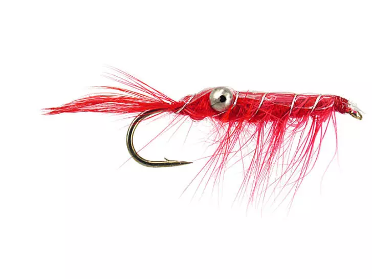 Crab Red