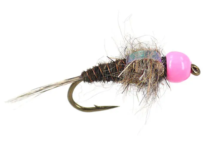 TG Red Neck Pheasant Tail