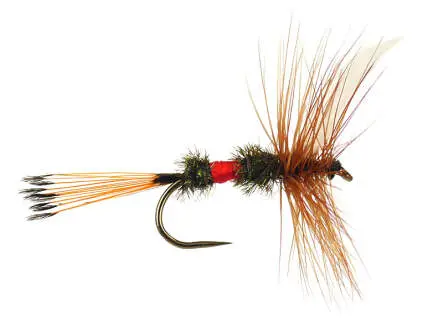 Royal Coachman BL 14