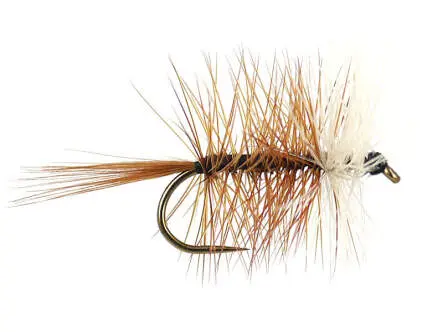 Brown Bivisible BL 12