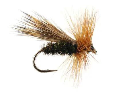 Peacock Caddis 10