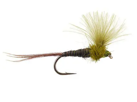CDC Quill Olive 16