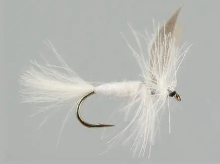 CDC White Winged Dry 14