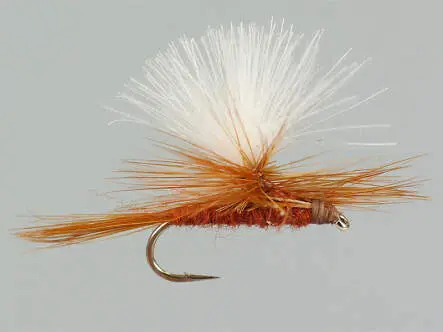 CDC Parachute Brown 14