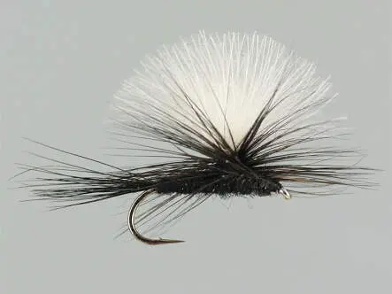 CDC Parachute Black 14
