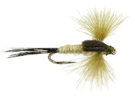 CDC Spent Pale Olive 16