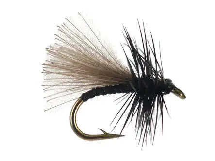 CDC Hackled Black 18