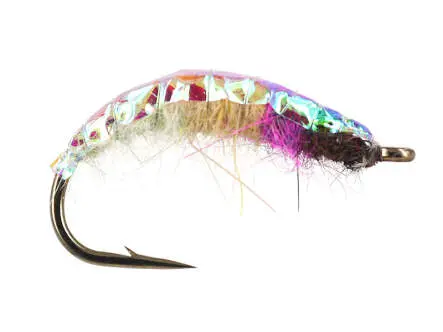Rainbow Czech Nymph 12