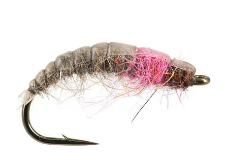 Pink Catching Czech Nymph 12