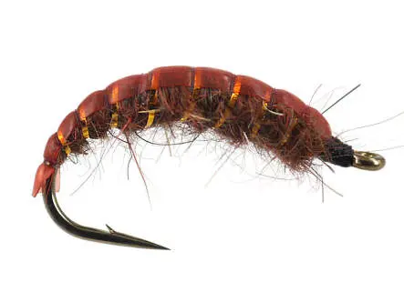 Dark Brown Ribbed Dream 8