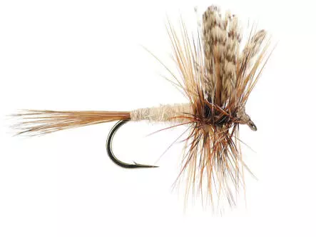 March Brown 14