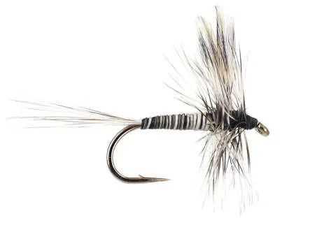 Mosquito 16