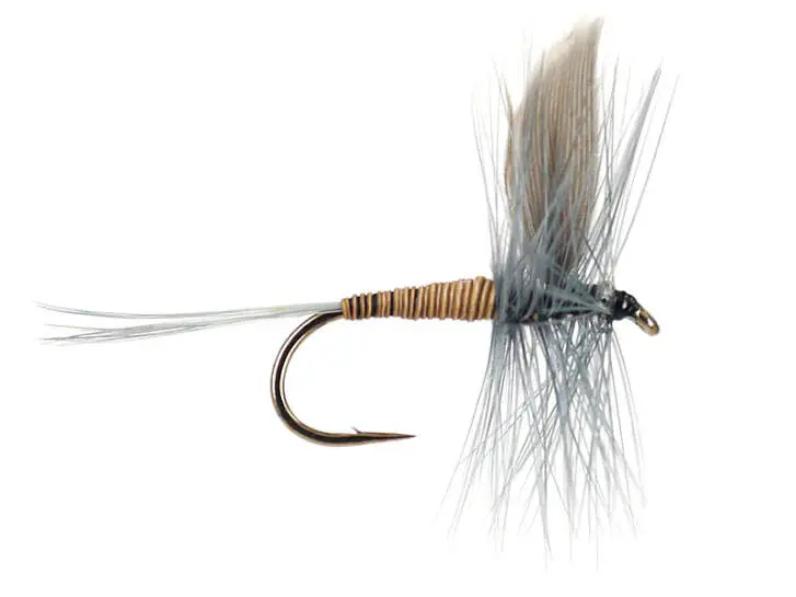 Blue Quill 12