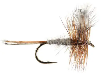 Adams 12