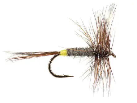 Adams Female 14