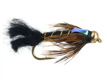 Dragon Fly Nymph 10