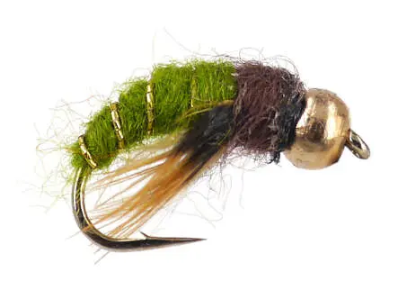 Caddis Pupa Olive 12