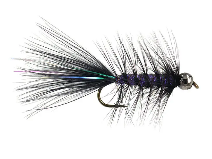 W.B. Bright Violet Competition 6