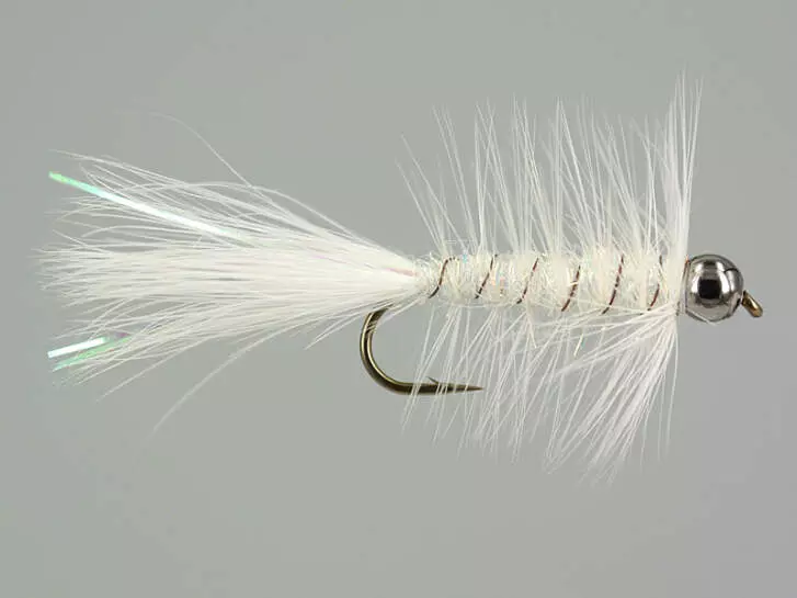 W.B. Bright White Competition 10