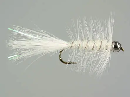 W.B. Bright White Competition 6