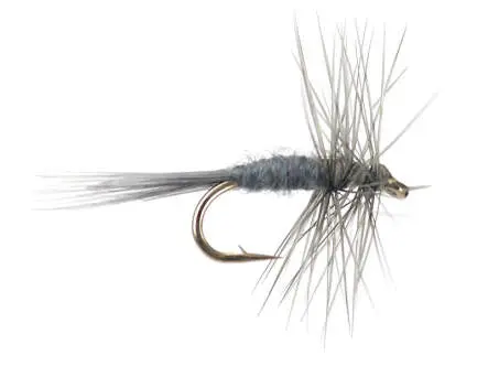 Midge Dun 18