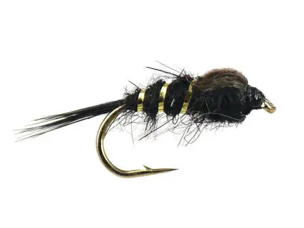 Hares Ear Black 12