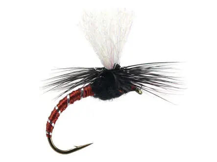 Klinkhammer Brown Black 12