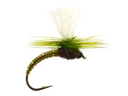 Klinkhammer Olive 16