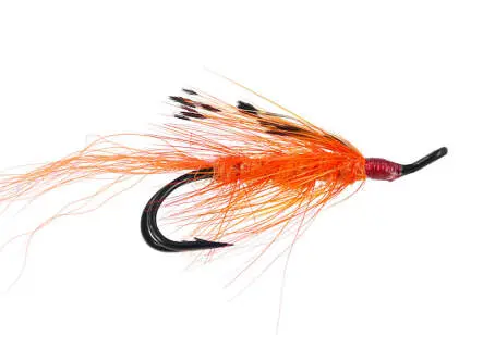 Gp Orange 4