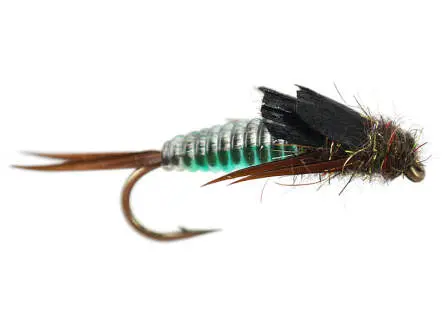 Green Heavy Bodyglass Stonefly 6