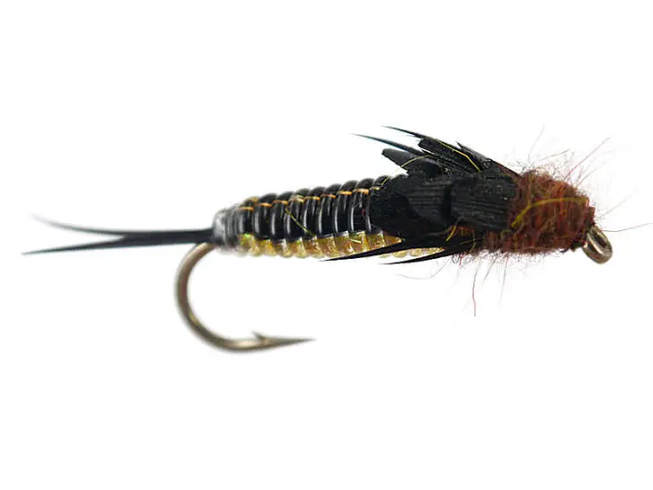 Rainbow Heavy Bodyglass Stonefly 6