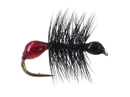 Hard Body Bicoloured Red Black Ant 16