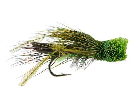 Green Cicada 10
