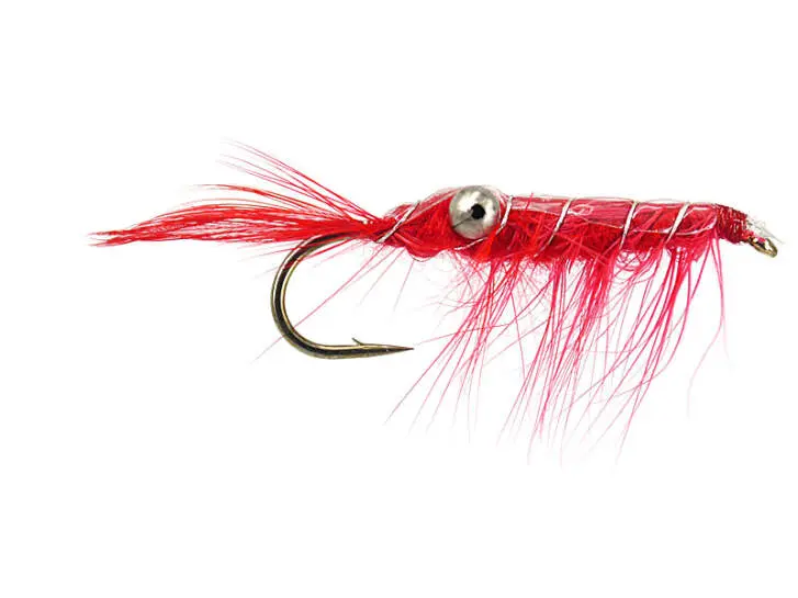 Crab Red 10
