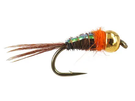 TG Tinsel Pheasant O Nymph 12