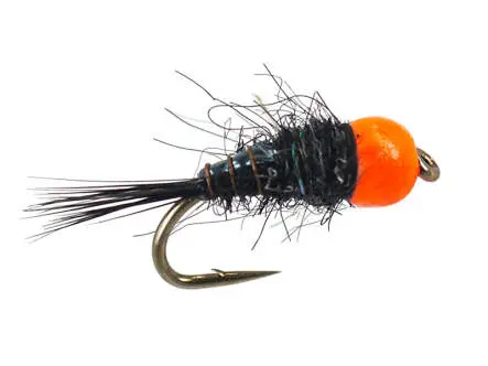 TG Hot Black Nymph 10