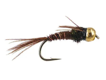 Peacock Pheasant Tail TG 12