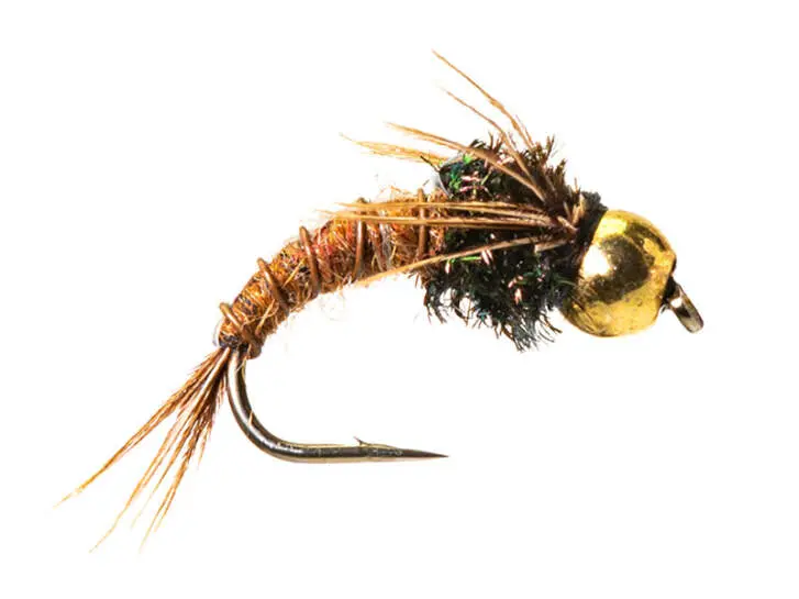 TG Pedros Catching Mayfly Nymph 18