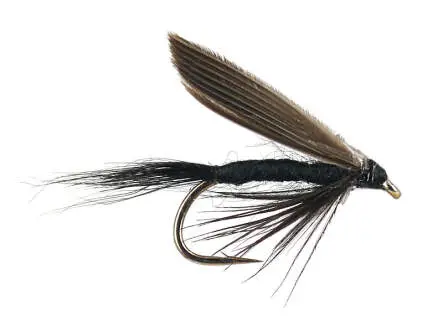 Black Gnat 12