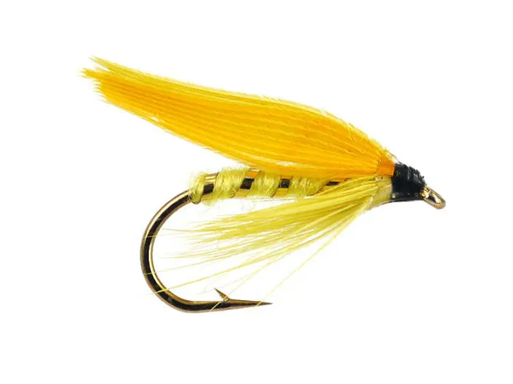 Yellow Sally 12