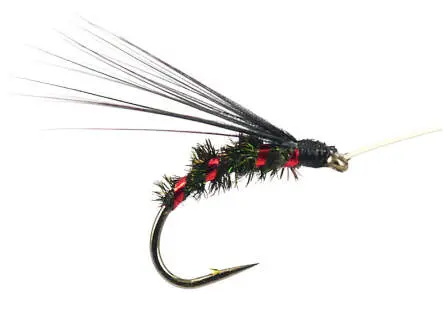 Riofranz Premium Red 16