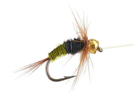 Rienz Premium BI Olive 14