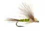 Bwo Transition Dun
