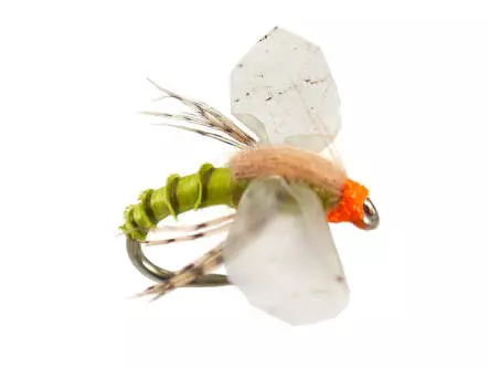 Bwo Cripple 01